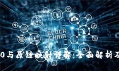 Tokenim 2.0与原链映射详解：全面解析及前瞻性分析