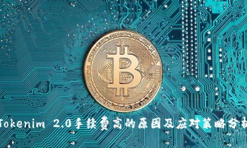 Tokenim 2.0手续费高的原因及应对策略分析
