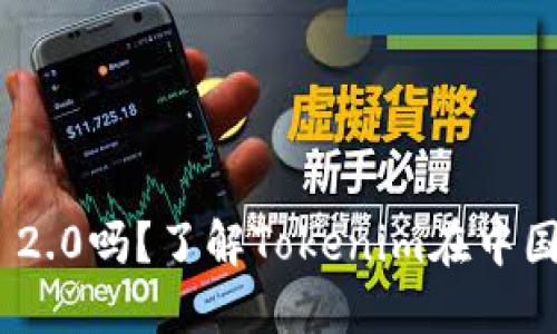 国内能用Tokenim 2.0吗？了解Tokenim在中国的应用与政策限制