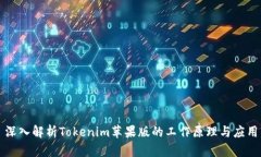 深入解析Tokenim苹果版的工作原理与应用