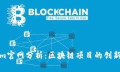 Tokenim官网分析：区块链项目的创新与挑战