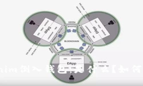 Tokenim倒入钱包：是什么？如何操作？