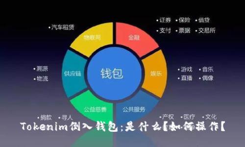 Tokenim倒入钱包：是什么？如何操作？