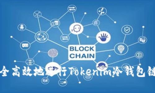 如何安全高效地进行Tokenim冷钱包链接查询