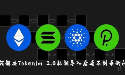 如何解决Tokenim 2.0私钥导入后看不到币的问题