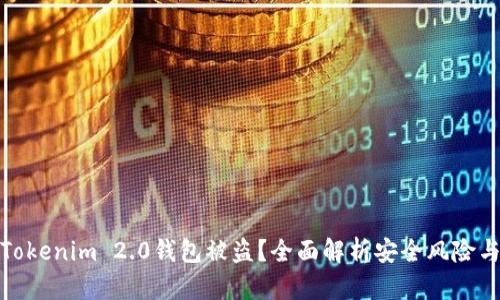 如何防止Tokenim 2.0钱包被盗？全面解析安全风险与防护措施