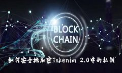 如何安全地加密Tokenim 2.0中的私钥