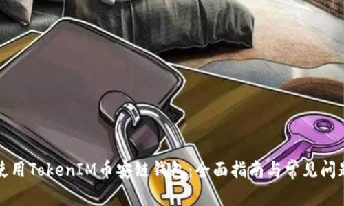 如何使用TokenIM币安链钱包：全面指南与常见问题解答