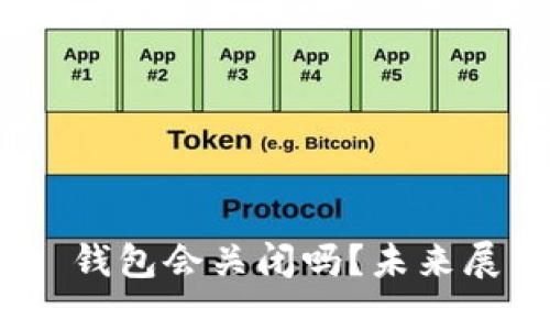 Tokenim 2.0 钱包会关闭吗？未来展望与用户考虑
