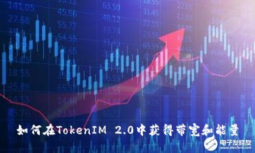 如何在TokenIM 2.0中获得带宽和能量