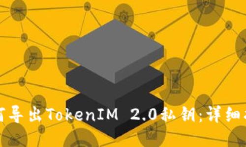 如何导出TokenIM 2.0私钥：详细指南