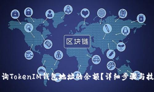 如何查询TokenIM钱包地址的余额？详细步骤与技巧解析