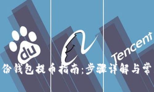 Tokenim身份钱包提币指南：步骤详解与常见问题解析