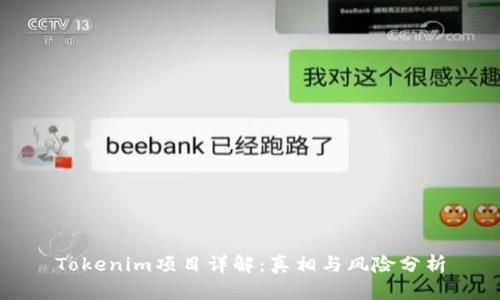 Tokenim项目详解：真相与风险分析