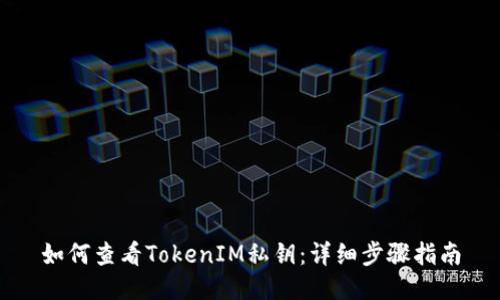 如何查看TokenIM私钥：详细步骤指南