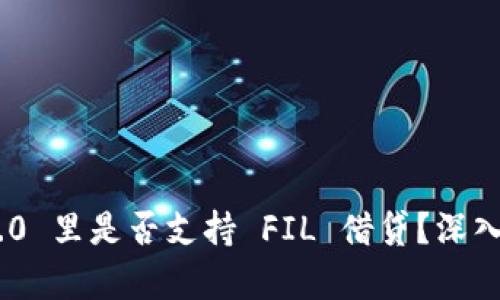 Tokenim 2.0 里是否支持 FIL 借贷？深入分析与解读
