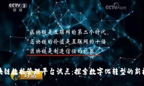 区块链数据管理平台试点：探索数字化转型的新机遇