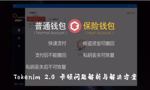 Tokenim 2.0 卡顿问题解析与解决方案