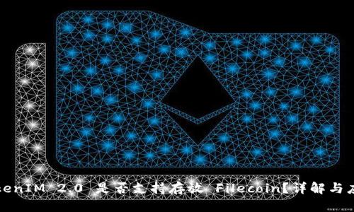 TokenIM 2.0 是否支持存放 Filecoin？详解与应用