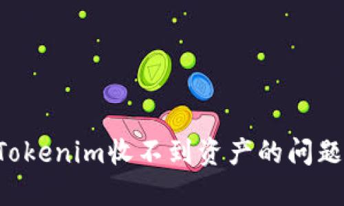 如何解决Tokenim收不到资产的问题：详细指南