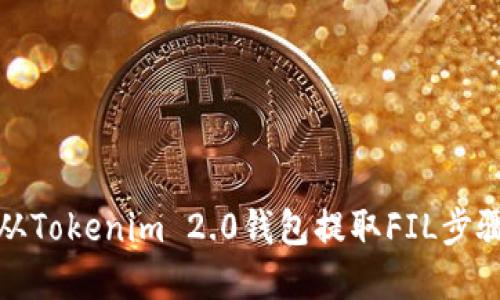 如何从Tokenim 2.0钱包提取FIL步骤详解