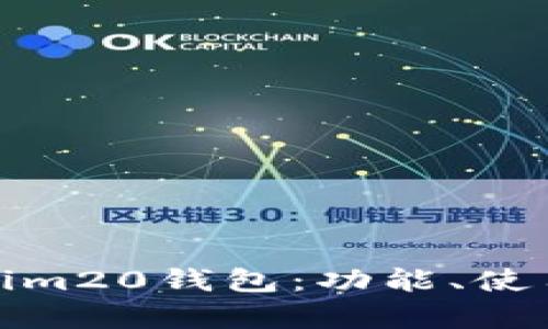 全面解析Tokenim20钱包：功能、使用技巧与安全性