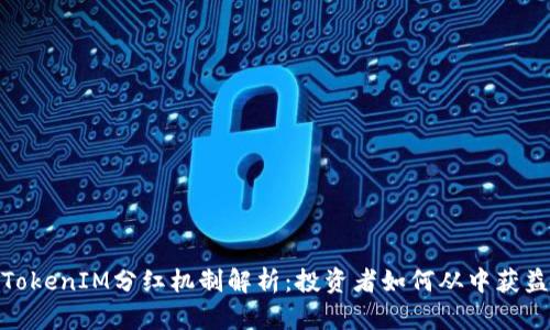 TokenIM分红机制解析：投资者如何从中获益
