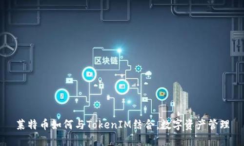 莱特币如何与TokenIM结合，数字资产管理