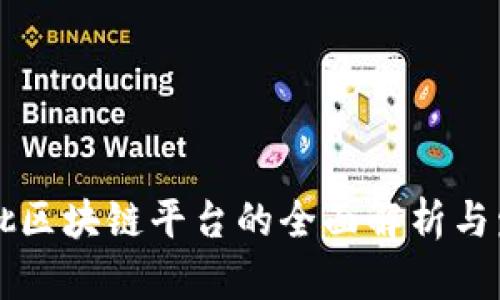 国内首批区块链平台的全面解析与发展动态