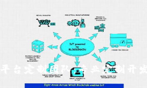 重庆区块链平台定制团队：专业定制开发与技术支持