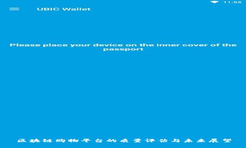 区块链购物平台的质量评估与未来展望