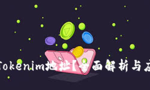 什么是Tokenim地址？全面解析与应用实例