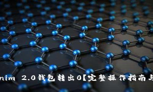 如何使用Tokenim 2.0钱包转出0？完整操作指南与常见问题解析