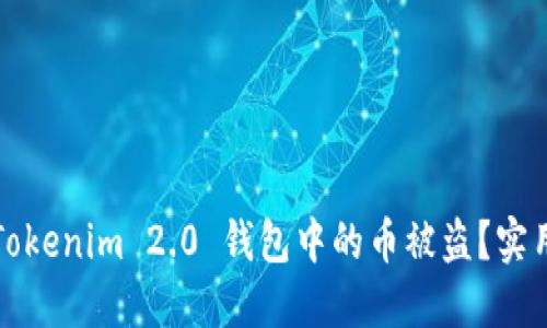 如何防止Tokenim 2.0 钱包中的币被盗？实用安全指南