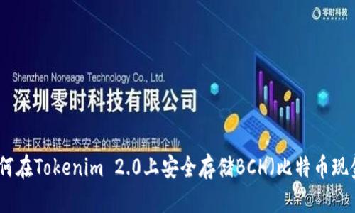 如何在Tokenim 2.0上安全存储BCH（比特币现金）