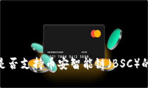 TokenIM是否支持币安智能链（BSC）的详细解析