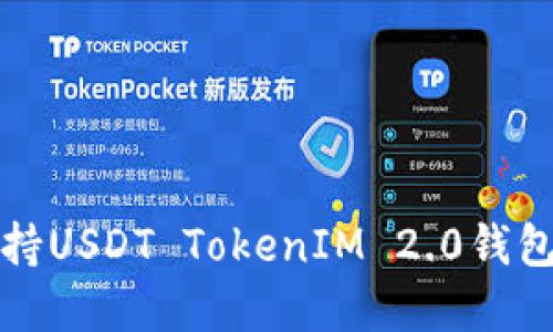 如何选择支持USDT TokenIM 2.0钱包的最佳方案