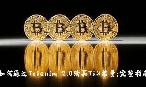 如何通过Tokenim 2.0购买TRX能量：完整指南