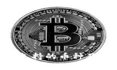 Tokenim平台支持的币种及相关信息详解