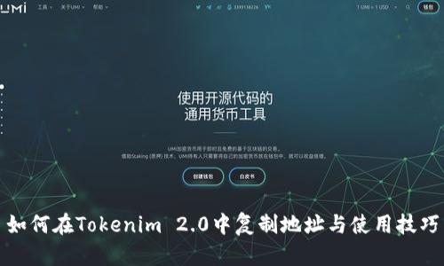 如何在Tokenim 2.0中复制地址与使用技巧