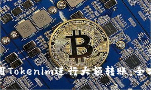 如何使用Tokenim进行大额转账：全方位指南