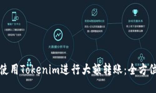 如何使用Tokenim进行大额转账：全方位指南