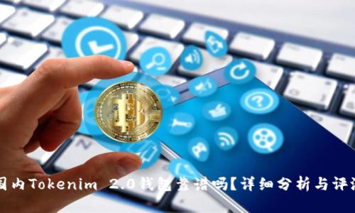 国内Tokenim 2.0钱包靠谱吗？详细分析与评测