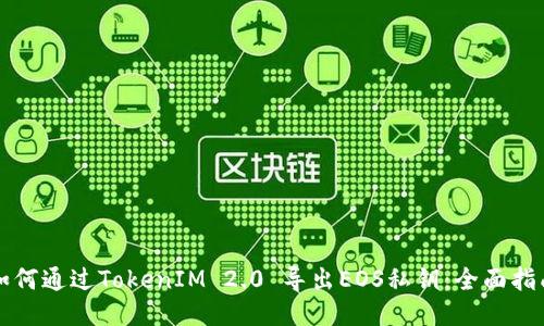 如何通过TokenIM 2.0 导出EOS私钥：全面指南