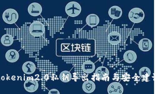 tokenim2.0私钥导出指南与安全建议