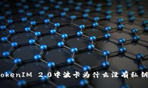 TokenIM 2.0中波卡为什么没有私钥？