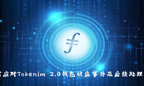 如何应对Tokenim 2.0钱包被盗事件及后续处理指南