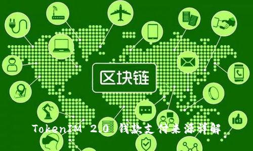 TokenIM 2.0 钱款支付来源详解