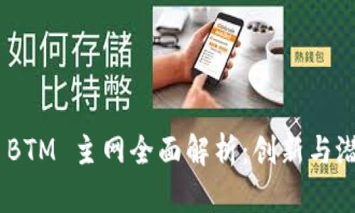 Tokenim 2.0 BTM 主网全面解析：创新与潜力的深度探讨