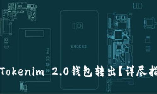 如何将路印协议从Tokenim 2.0钱包转出？详尽指南及常见问题解答